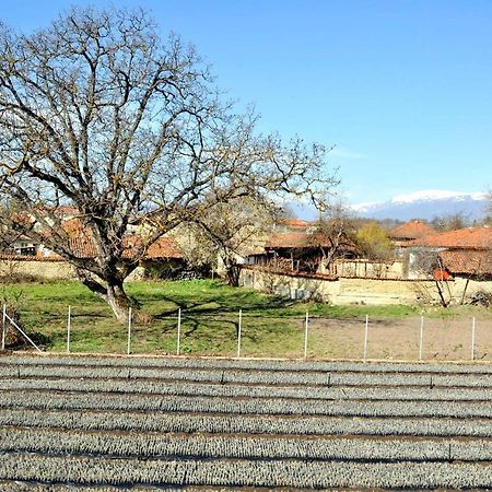Вила В С. Габарево, Долината На Розите. Gabarevo Exterior photo