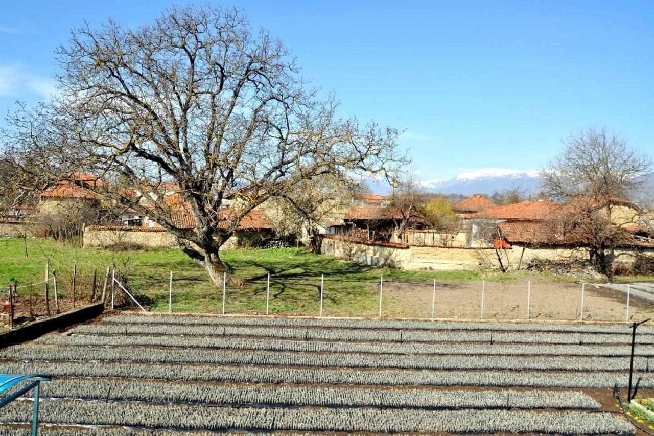 Вила В С. Габарево, Долината На Розите. Gabarevo Exterior photo